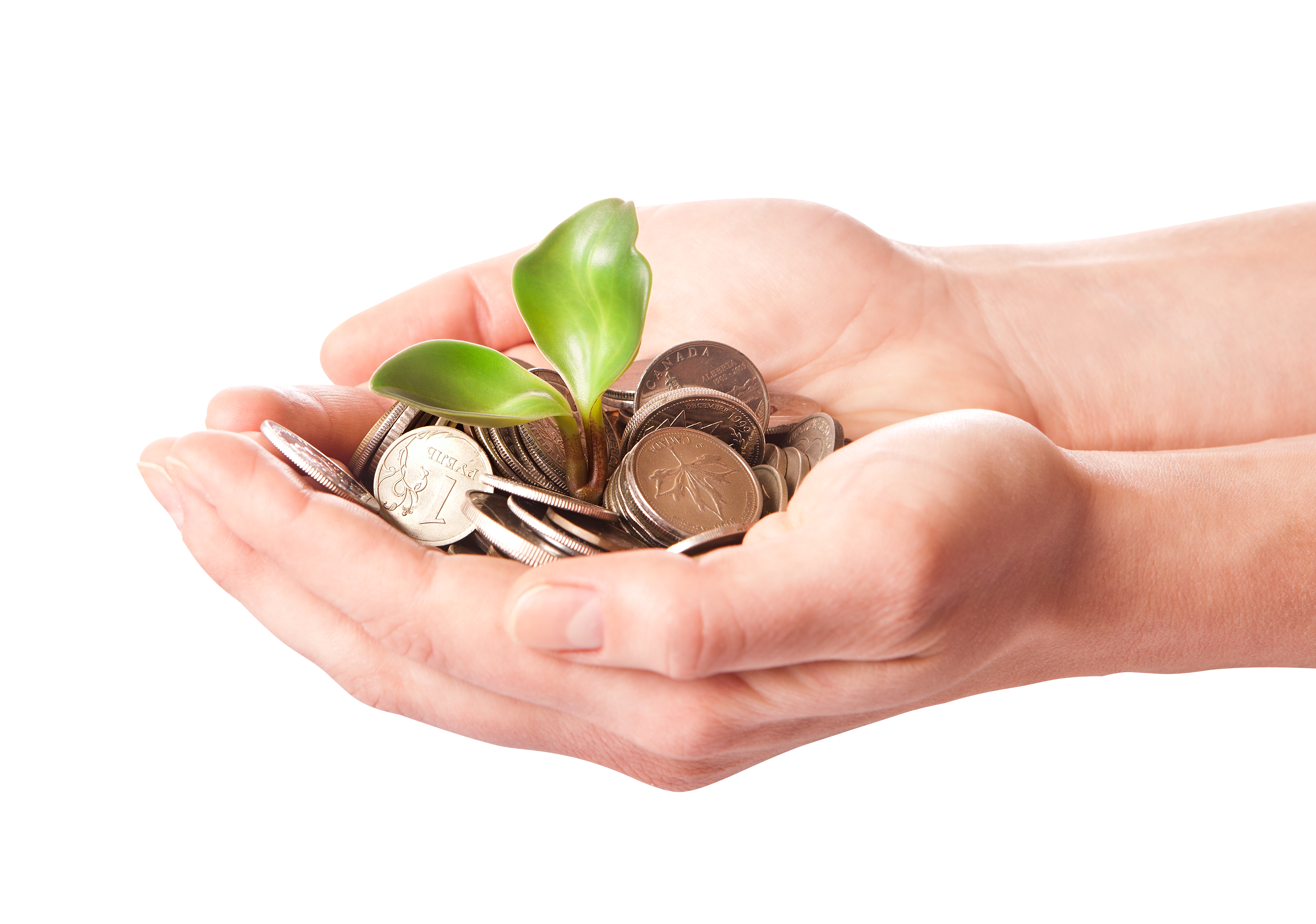 How To Invest Wisely And Save Money On Taxes